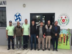 Sokak hayvanlar� i�in �rnek tesis