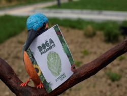 Oral: Do�a, bizim ye�il �izgimiz