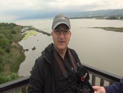 Hersek Lag�n�'nde �reyen ku� t�r� say�s�nda artt�