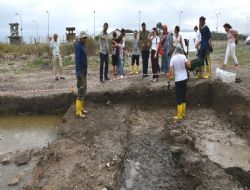 Bakanl���n eli Alt�nova�n�n �zerinde